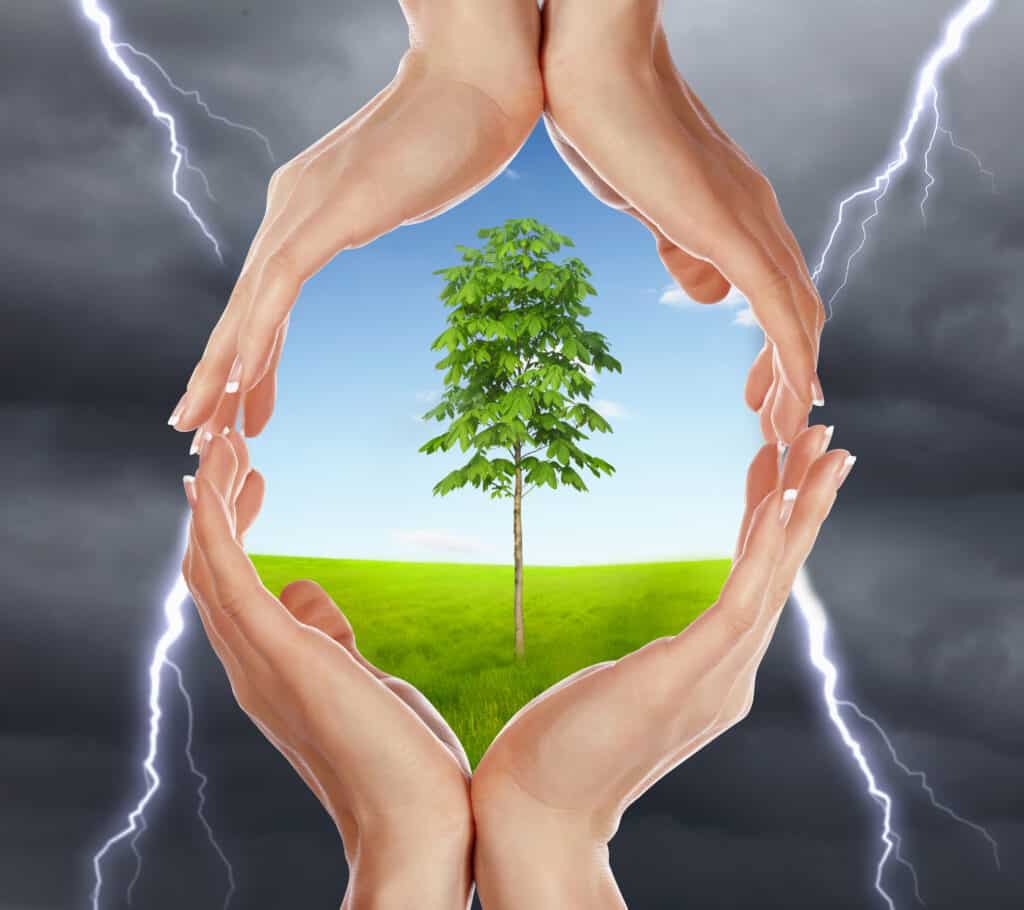 Hands encircling oak tree build resilience